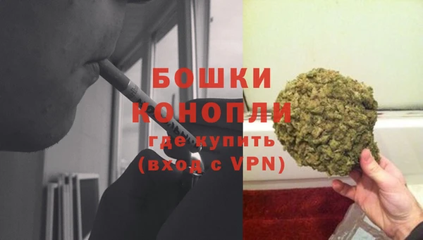 индика Волосово