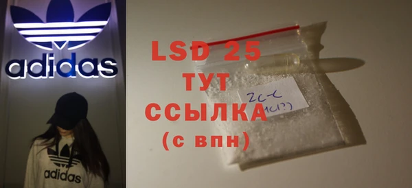 индика Волосово
