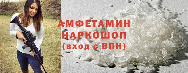индика Волосово
