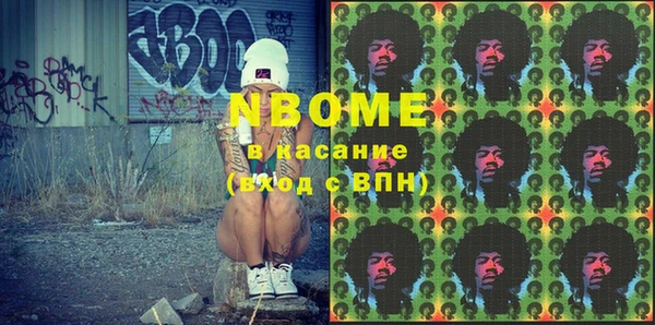 индика Волосово