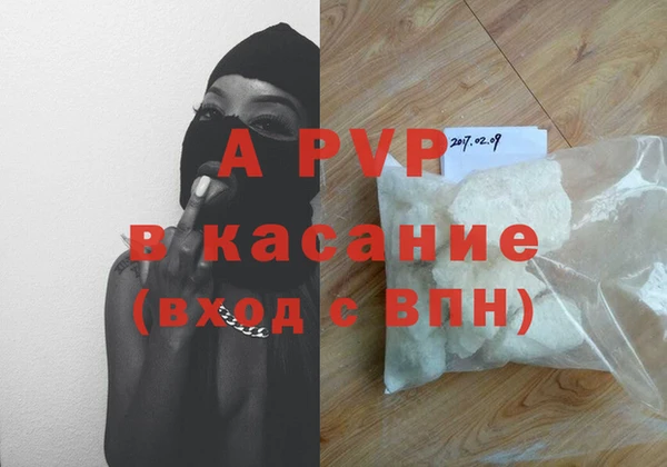 индика Волосово