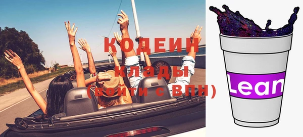 индика Волосово